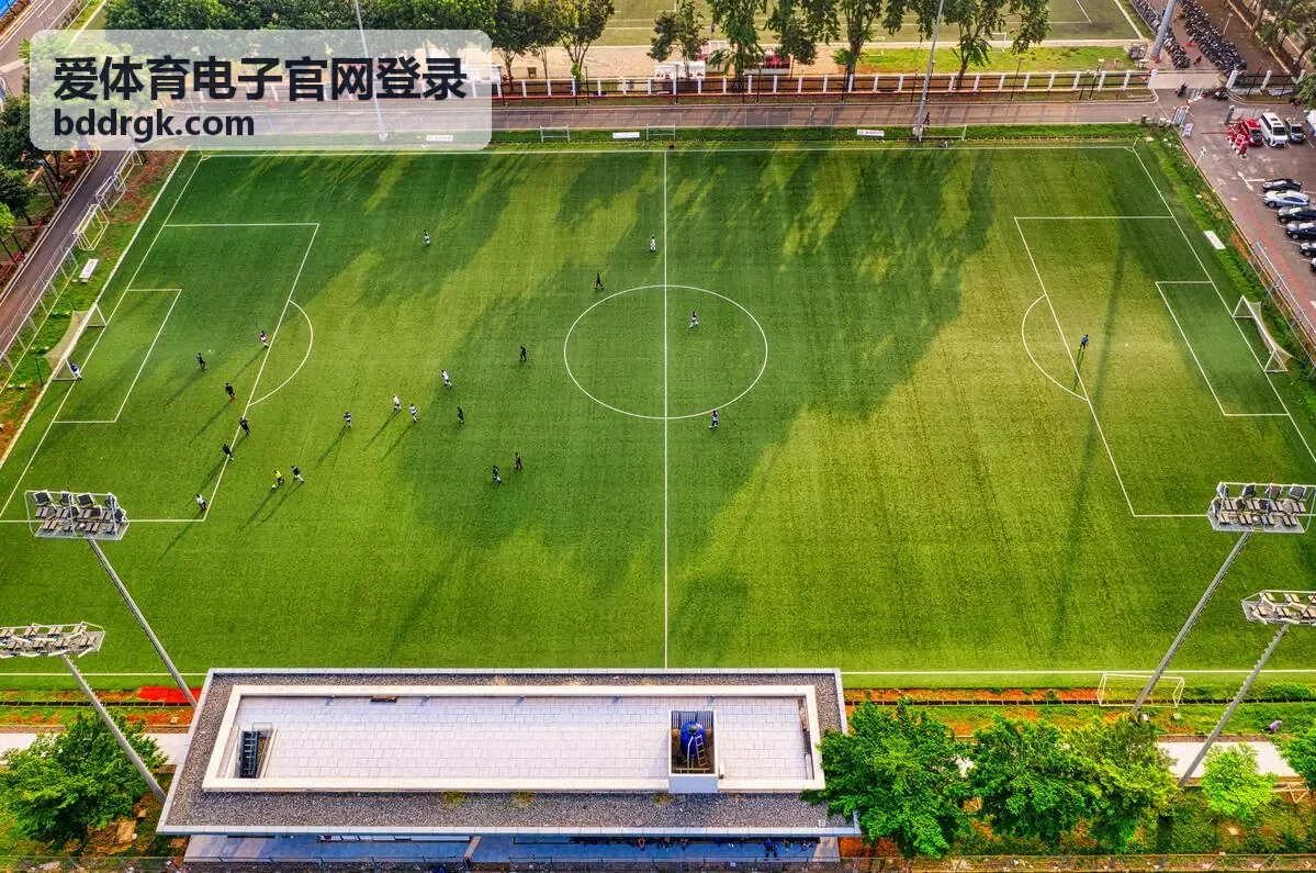 登录流程分步核验示意