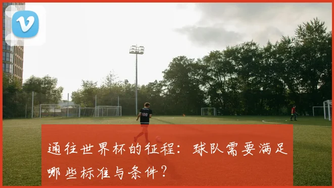 通往世界杯的征程：球队需要满足哪些标准与条件？